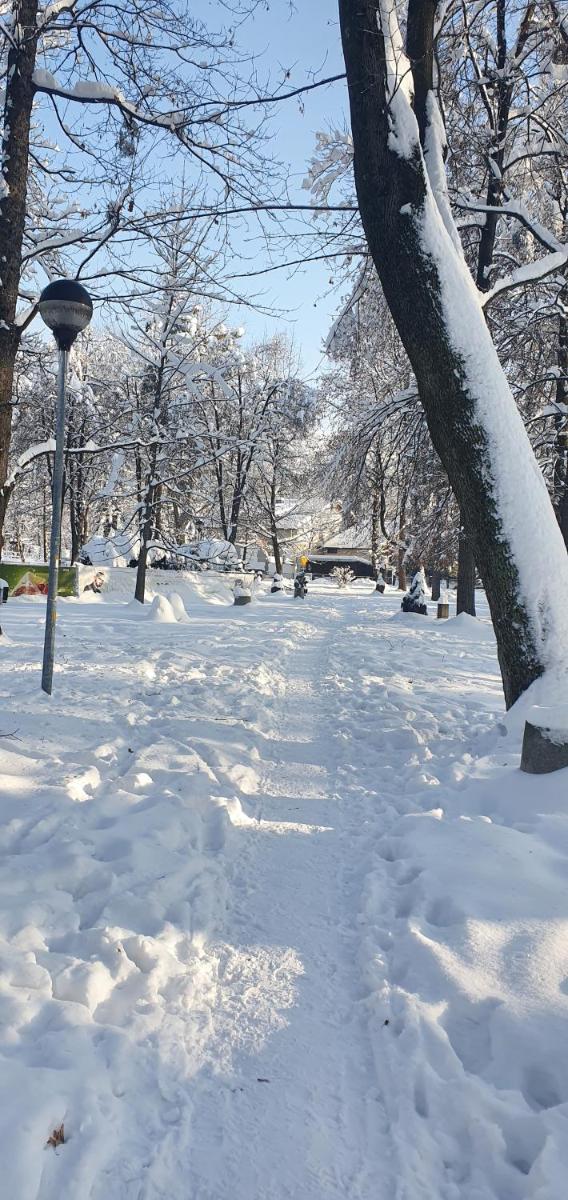 Apartament AiM Leśny Zakątek - Housity