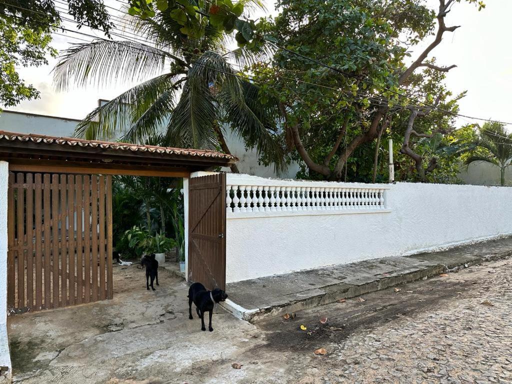Jardim de Praia Paracuru - Housity