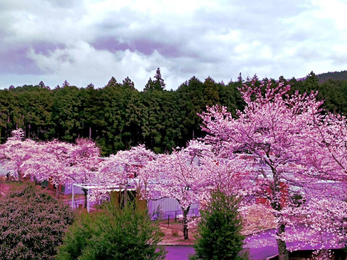 Fujino Kirameki Fujigotemba - Housity