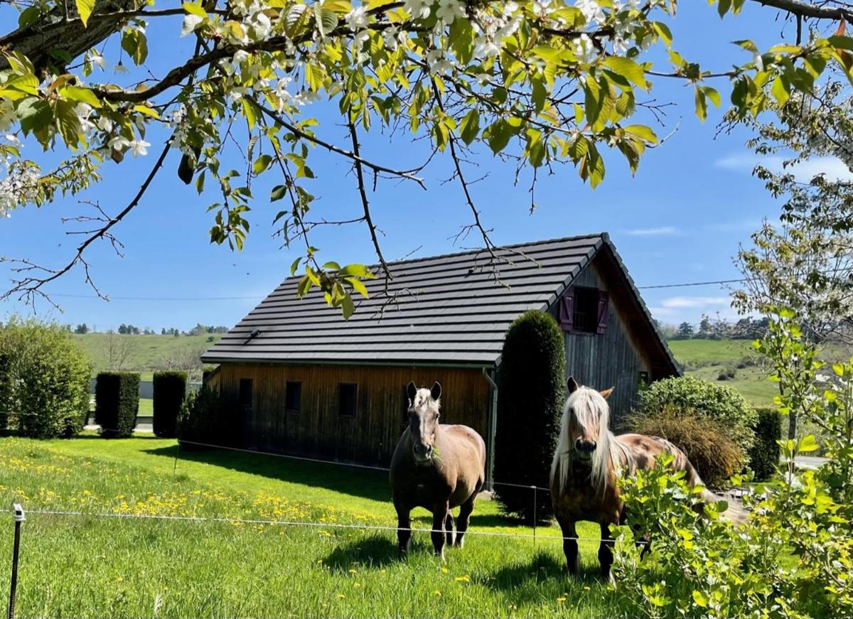Le loti des Arnats - Housity
