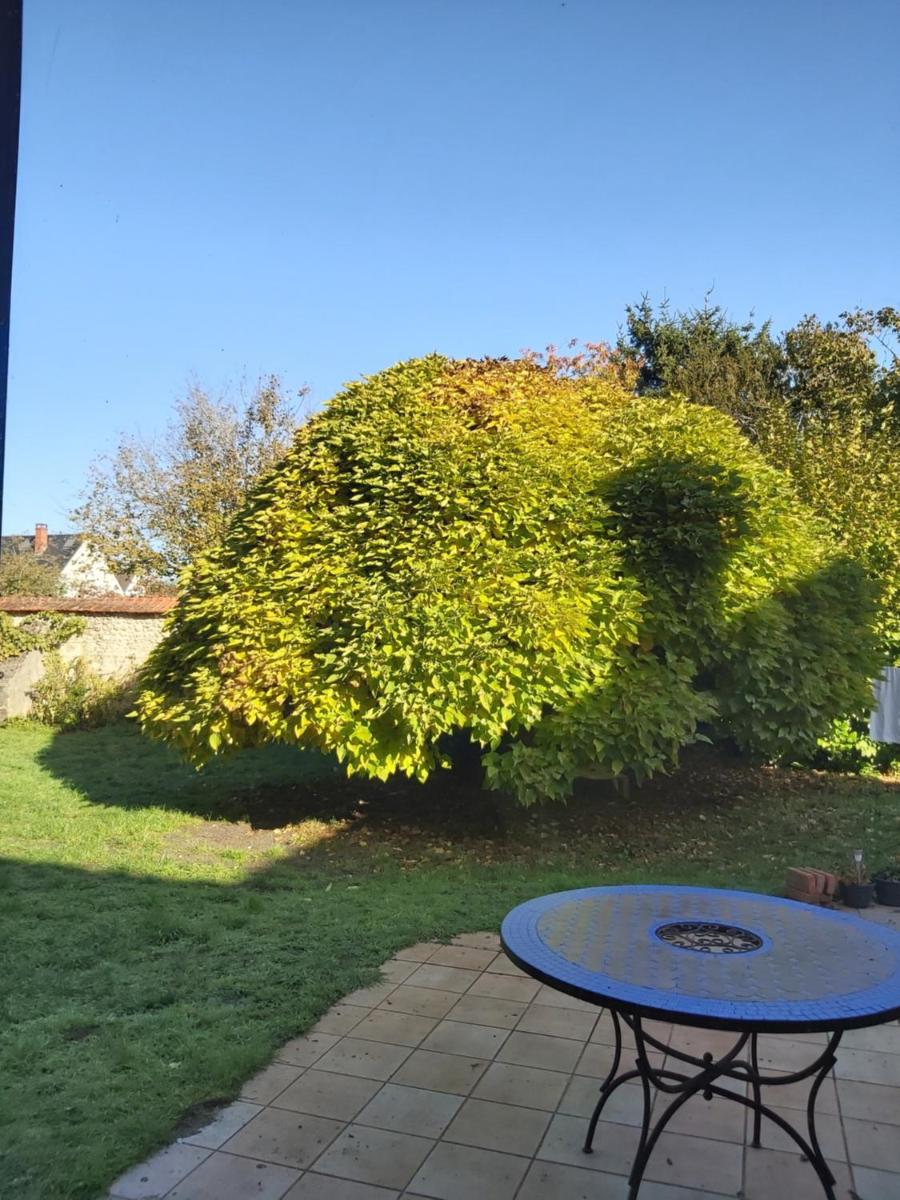 Chambre privée +thé et café - Housity