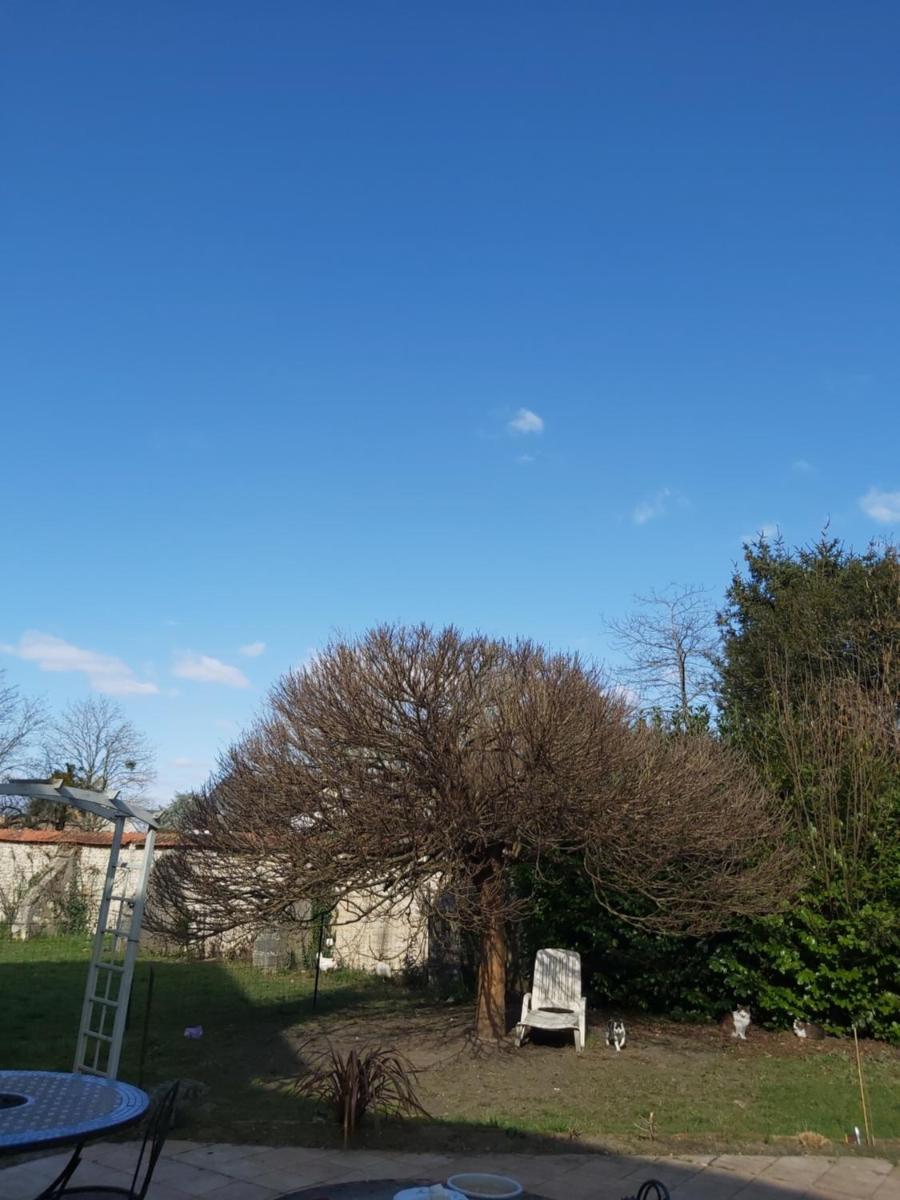 Chambre privée +thé et café - Housity