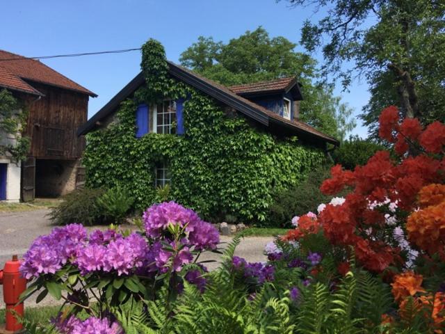 Gîte et Roulotte dans les Vosges - Housity