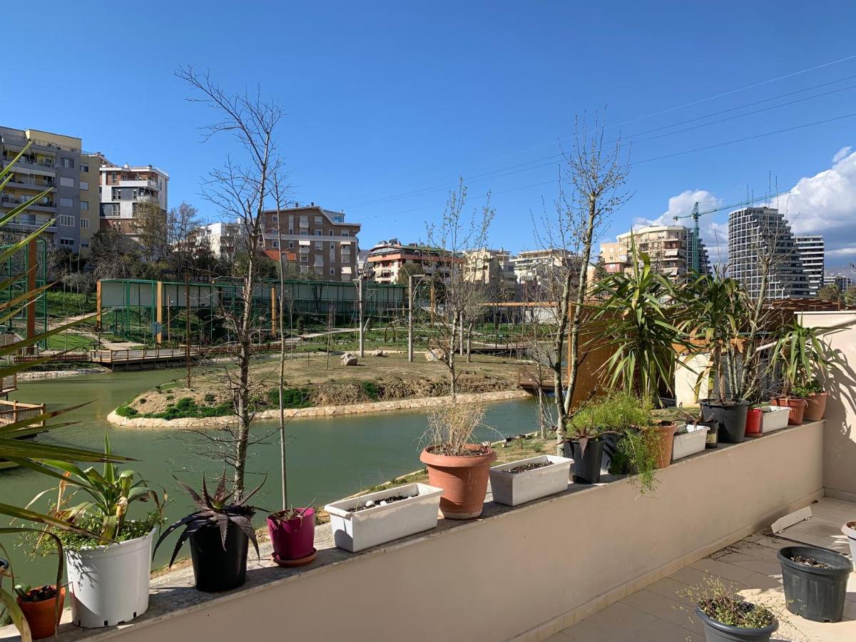 Palm apartament Tirana - Housity