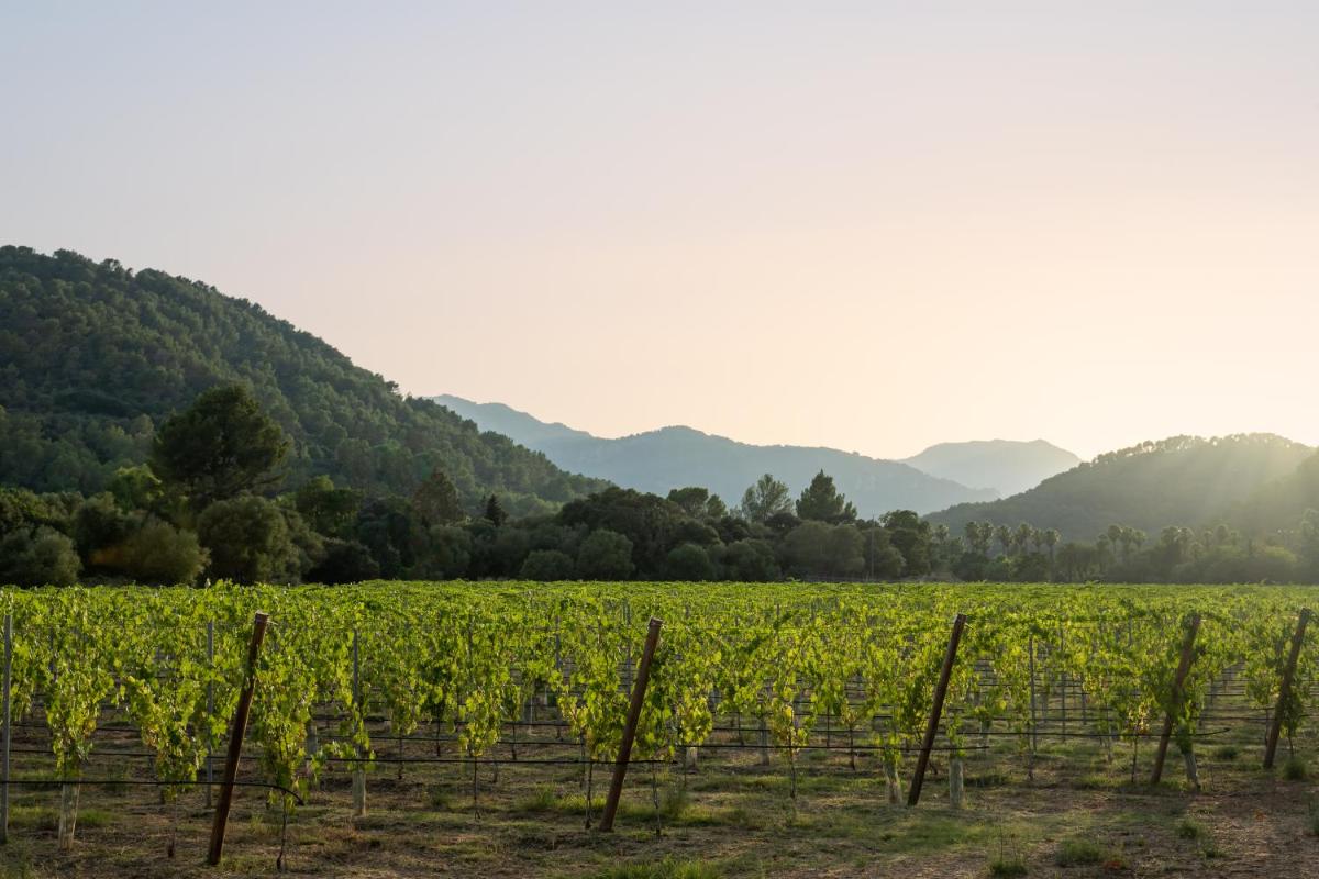 Rondaia - Housity