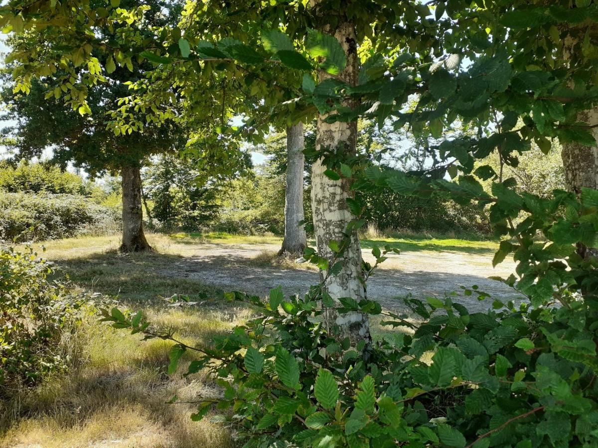 Coin de nature en Puisaye - Housity