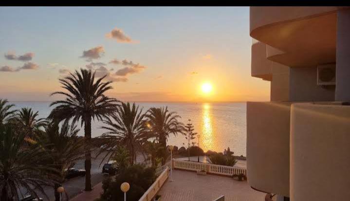 Apartamentos la Manga - Housity