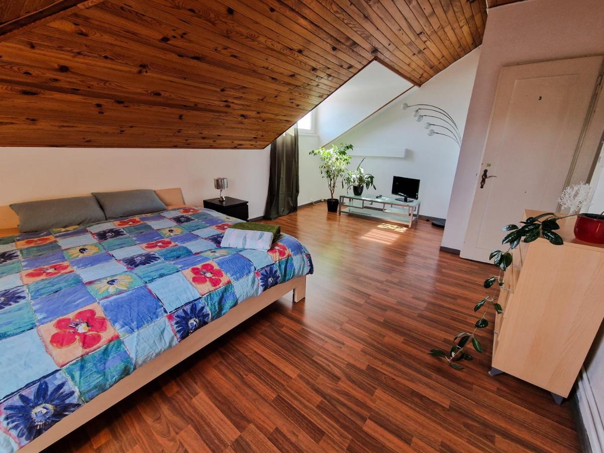 Beautiful Aparment next to the border 4 room - Housity