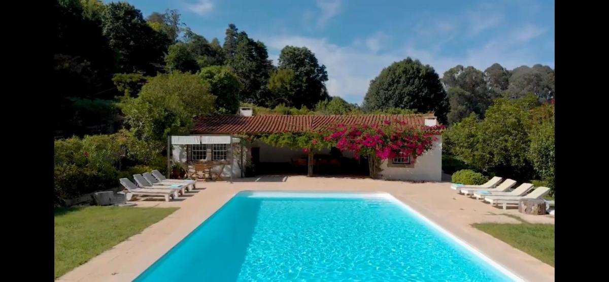 Bucolic and elegant townhouse near Oporto - Housity