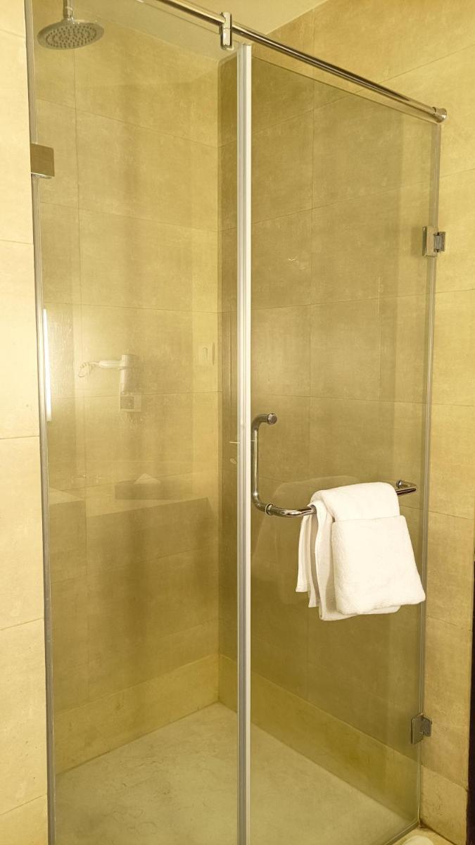 a shower with a glass door and a towel at Marasa Sarovar Premiere in Tirupati