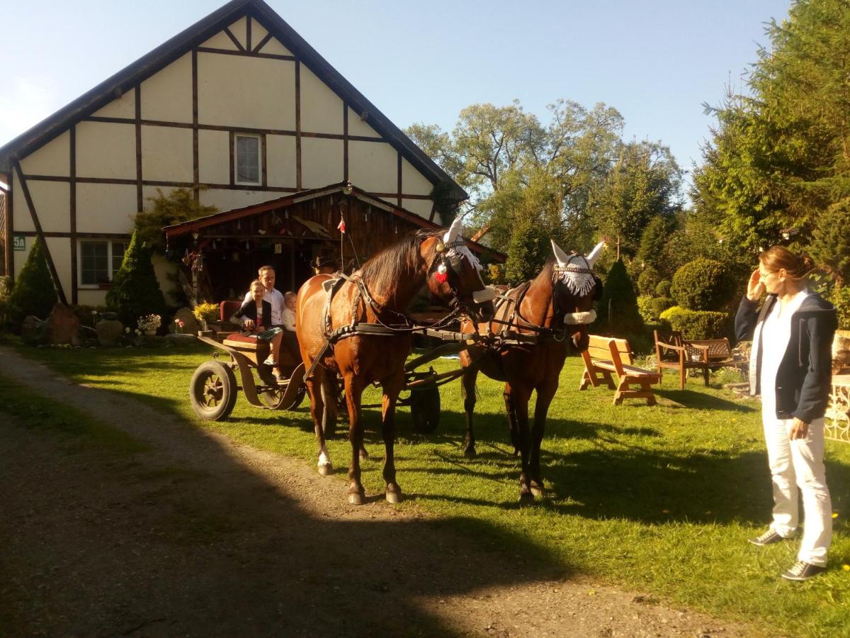Pensjonat Kalina Komorze - Housity