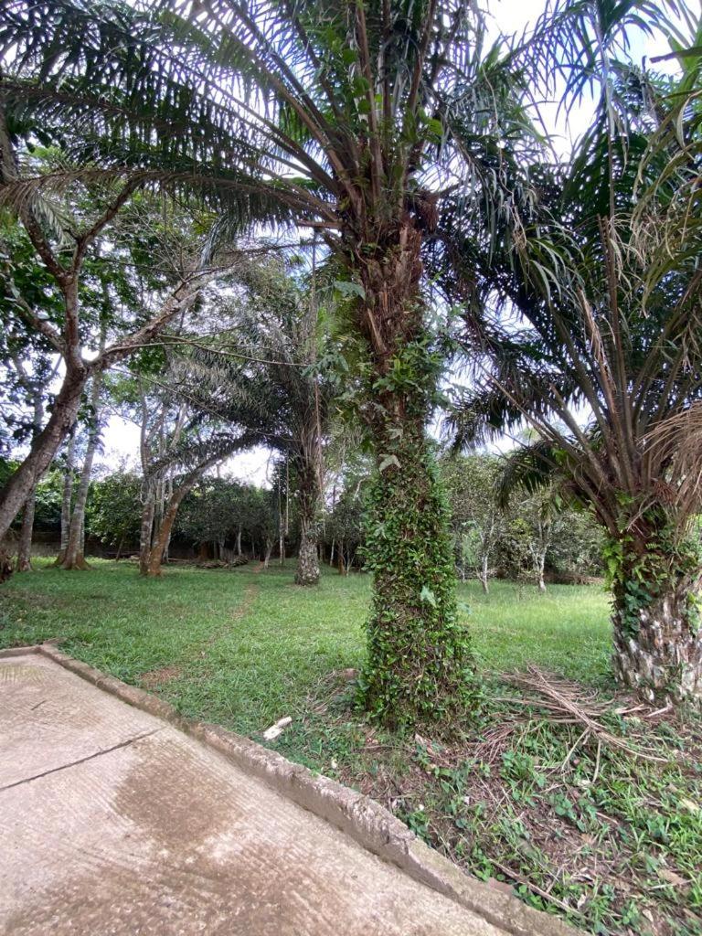 Odiha Guest Lodge - Housity