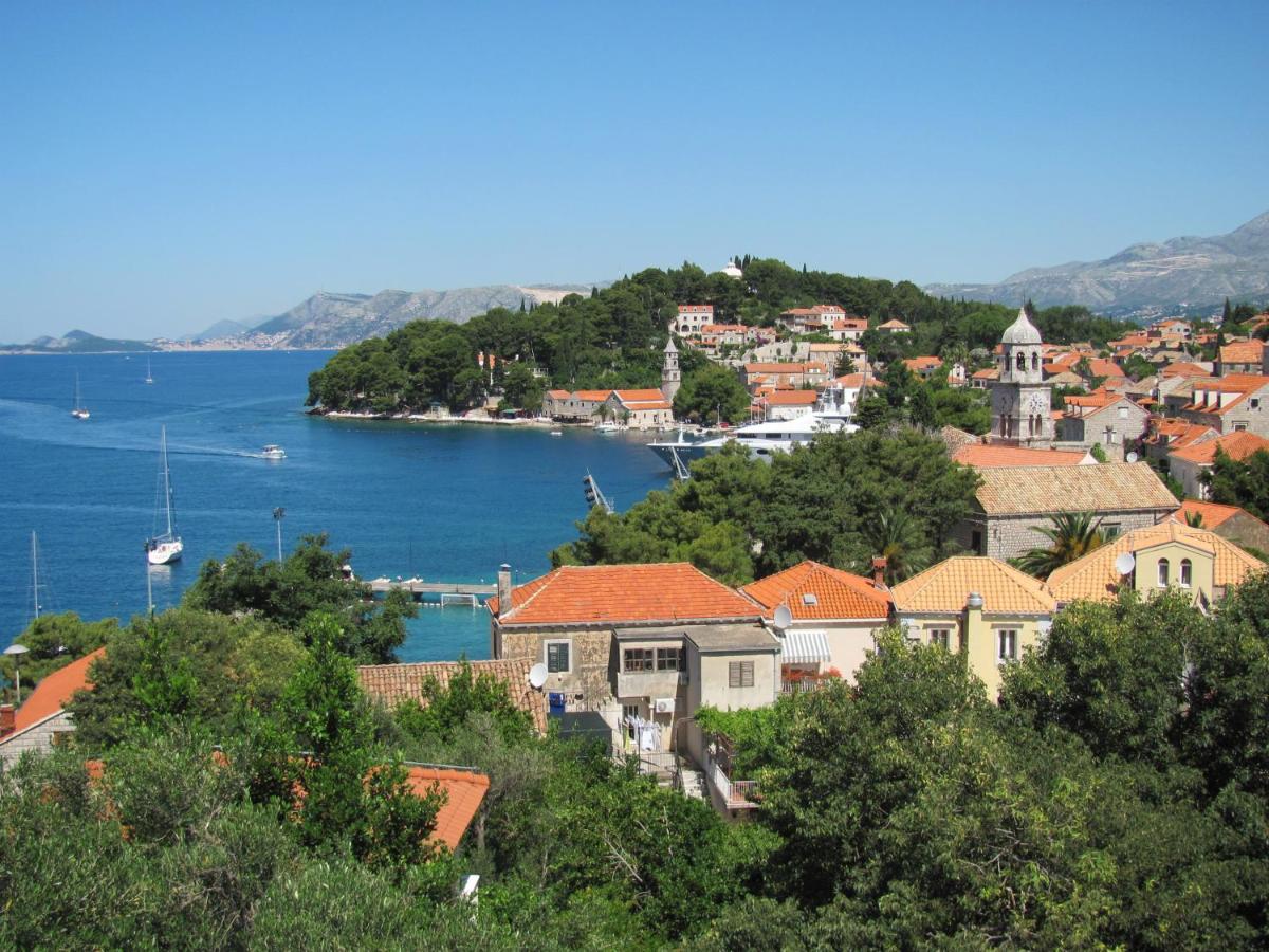 Guesthouse Marija - Housity