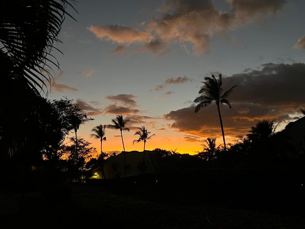 Brand New Luxury Maui Kamaole Condo Grd Flr - Housity