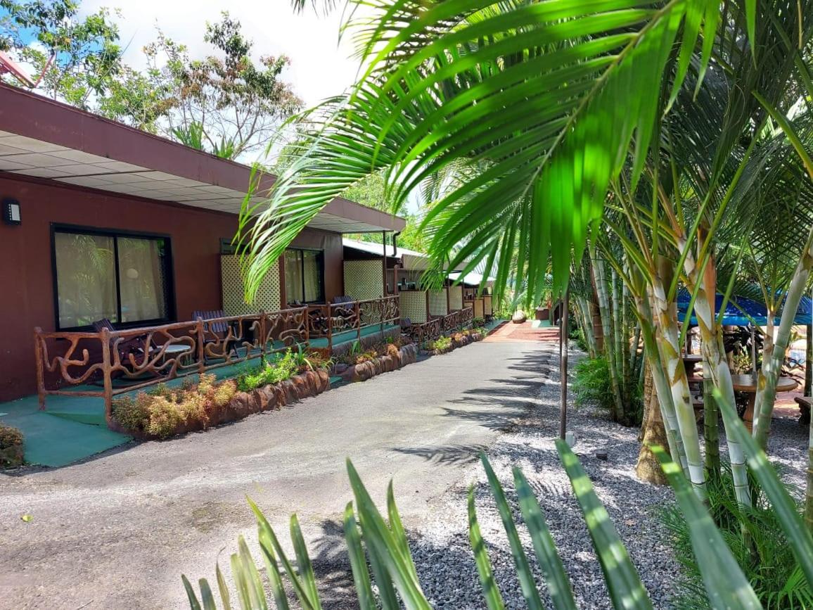 Hotel Palmera Real Hot Springs - Housity