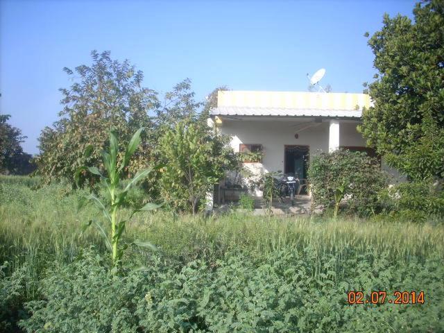 Shivashray Krishi Farm House - Housity