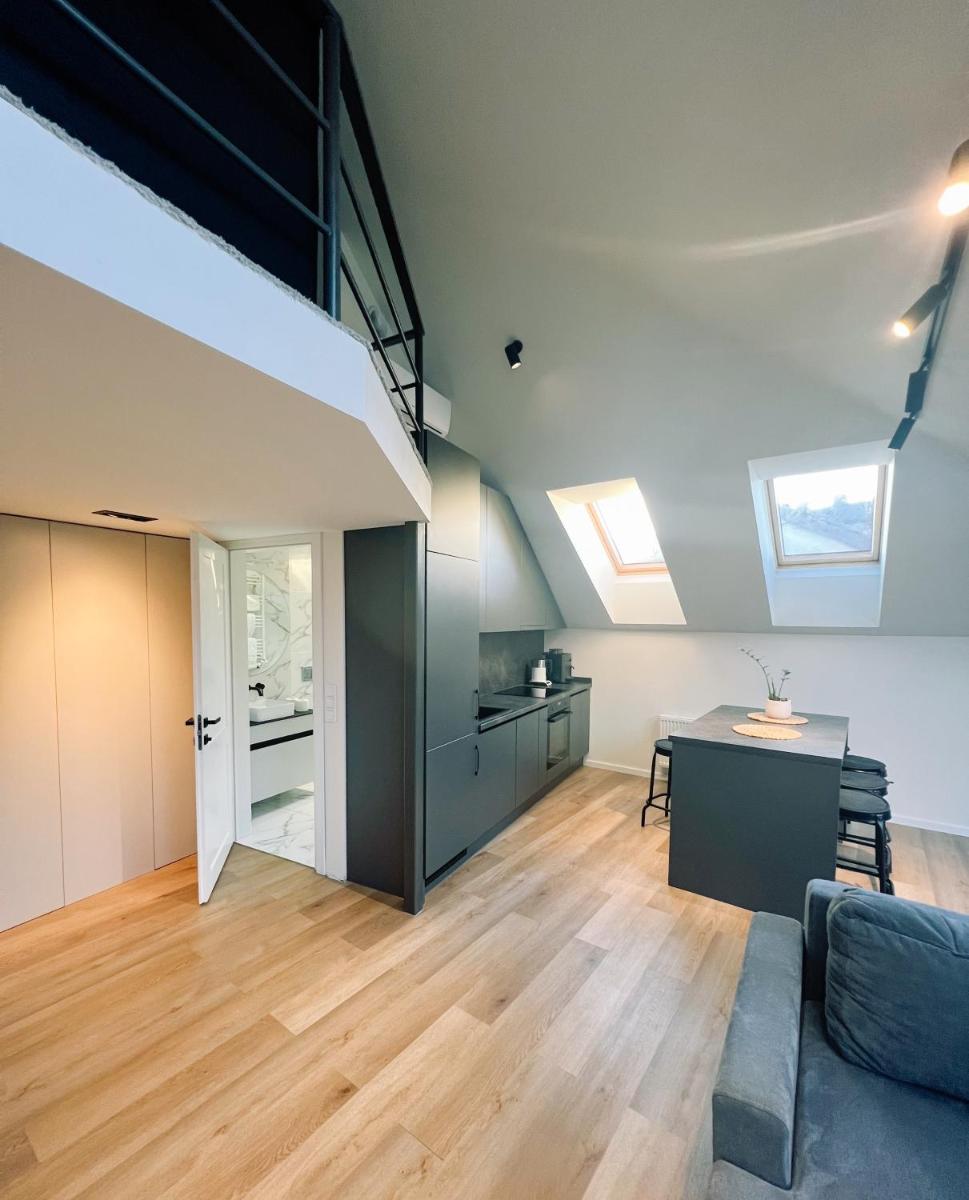 LOFT 1 BD Castle Apartament with free parking - Housity