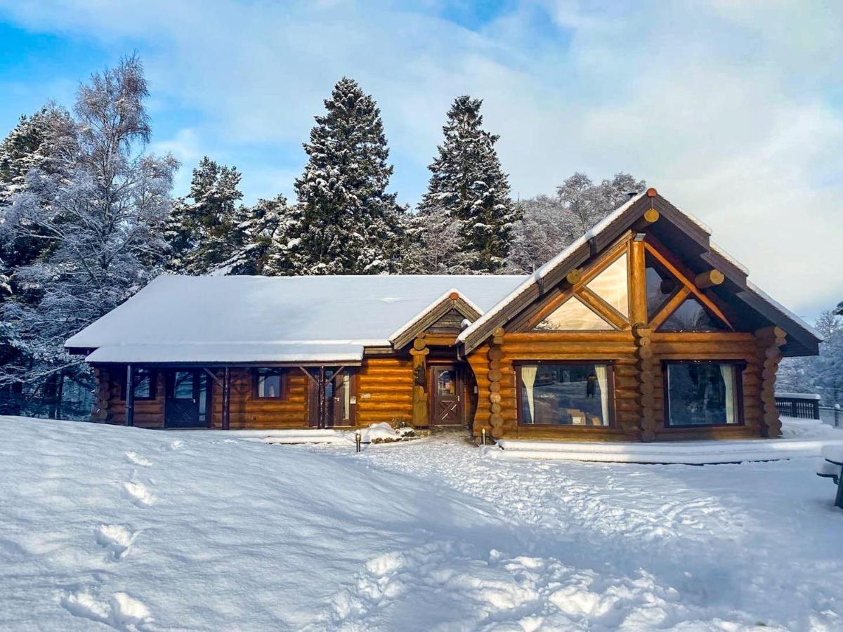 Mountain Bear Lodge - Housity