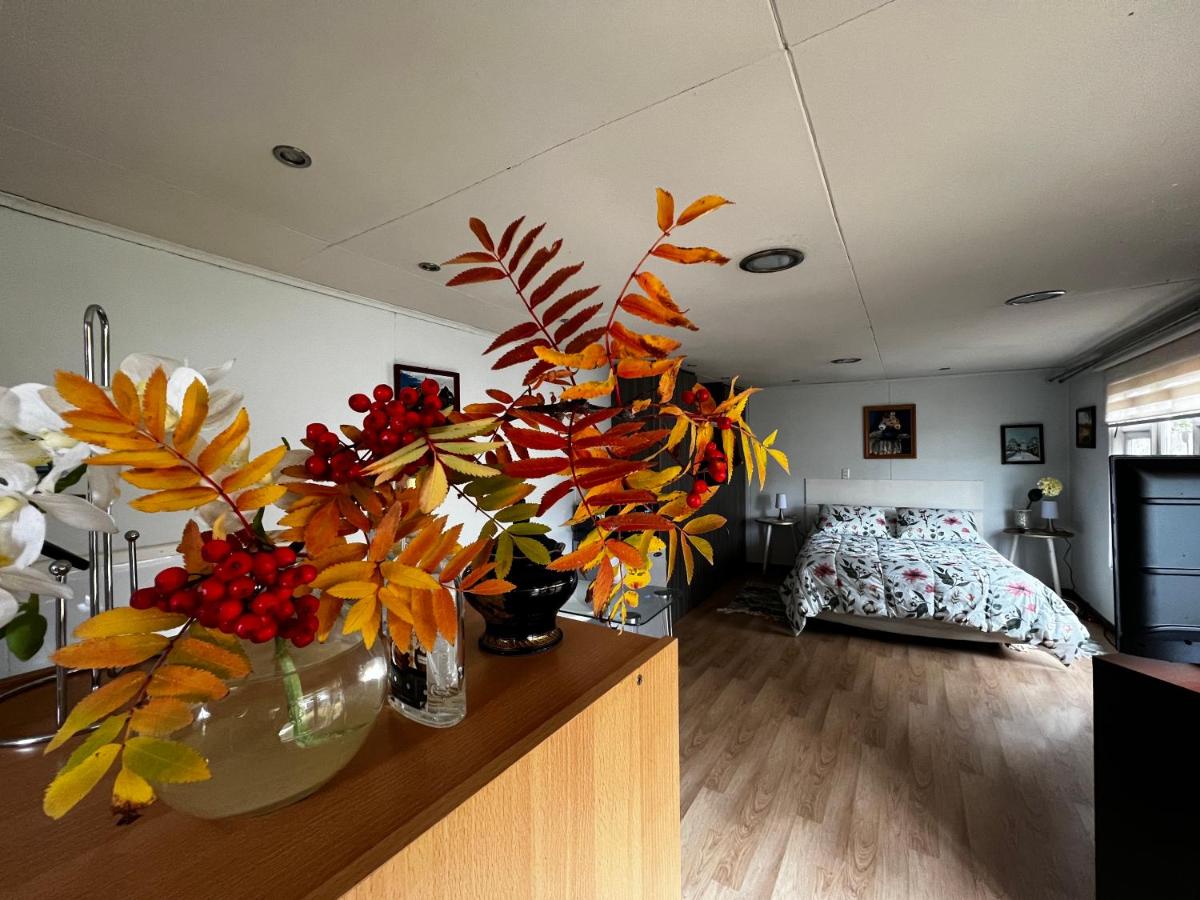 Luminoso, cómodo, amplio y muy agradable - Housity