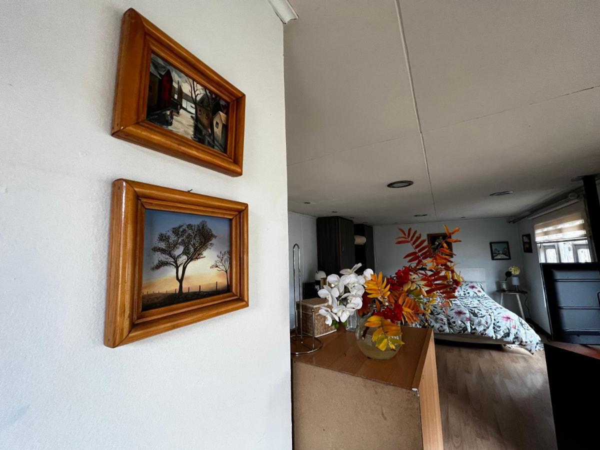 Luminoso, cómodo, amplio y muy agradable - Housity