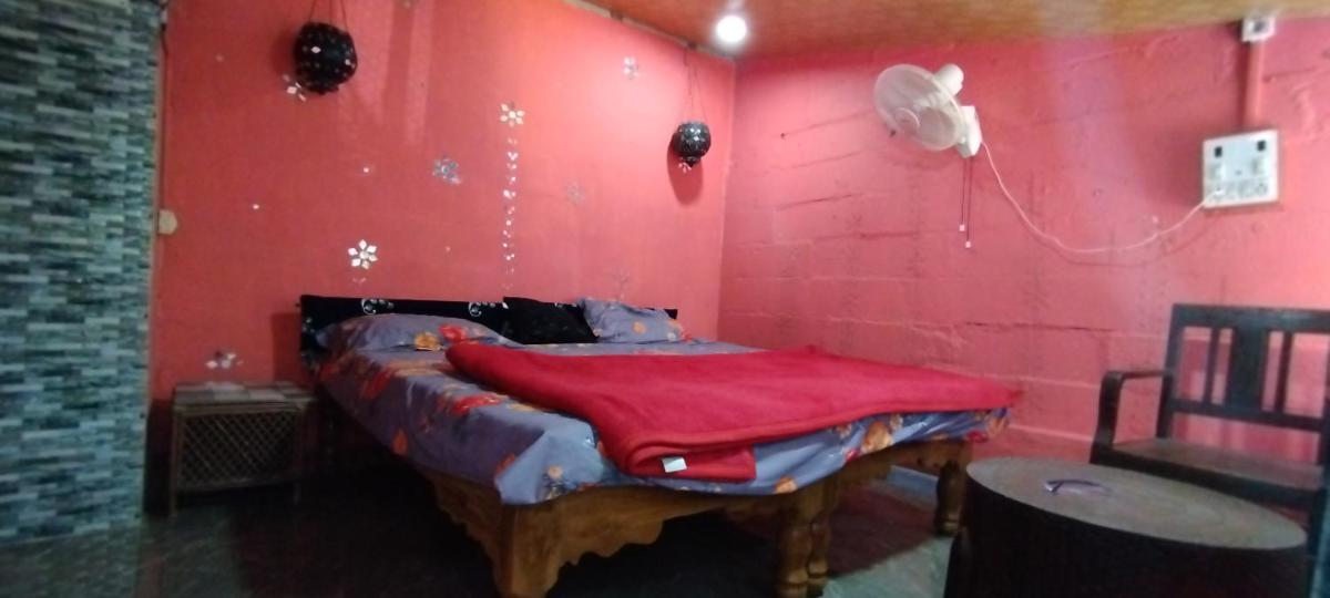 Amruta Homestays - Housity