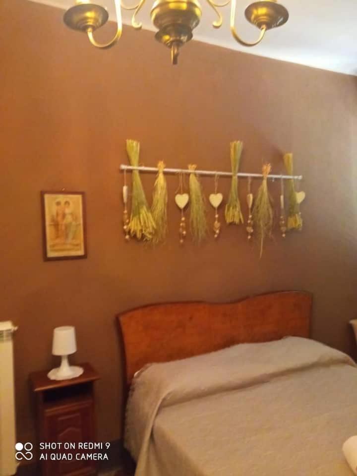 Casa Alfiero - Housity