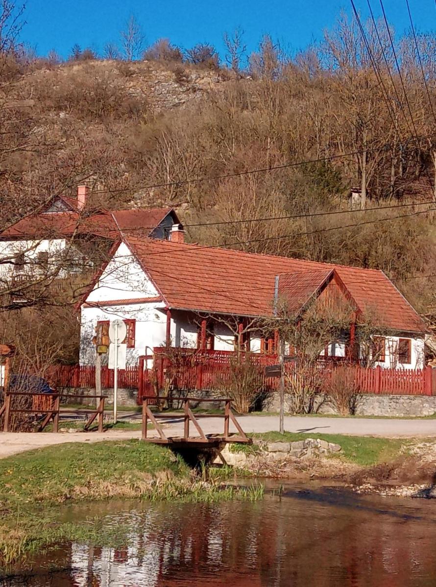 Forrásvölgy vendégház - Housity