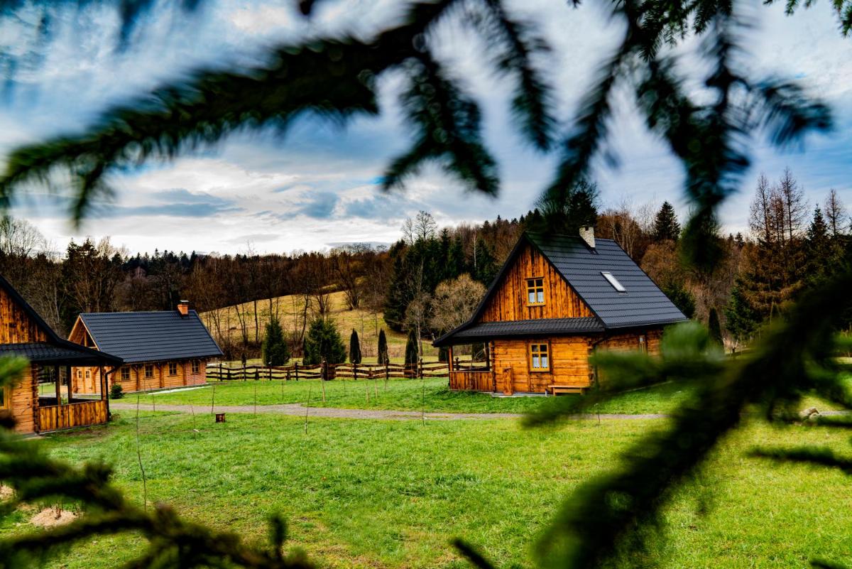 Osada Strusie Jajo w Bieszczadach - Housity