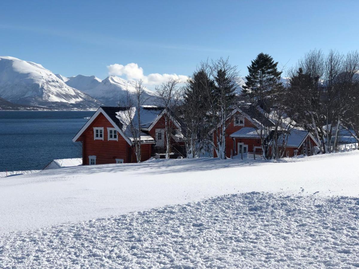 Aaroybukt Guesthouse - Housity