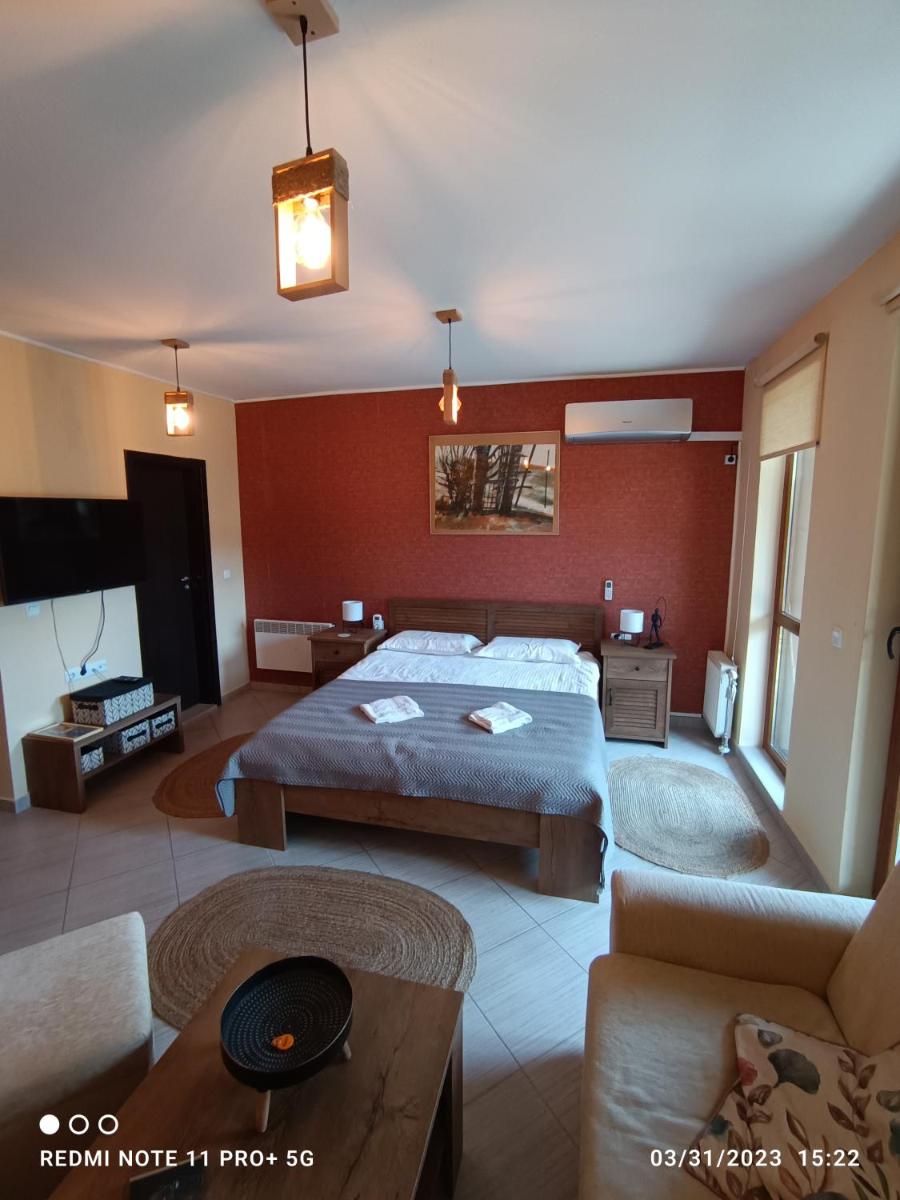 Studio D06, Green Life Bansko - Housity