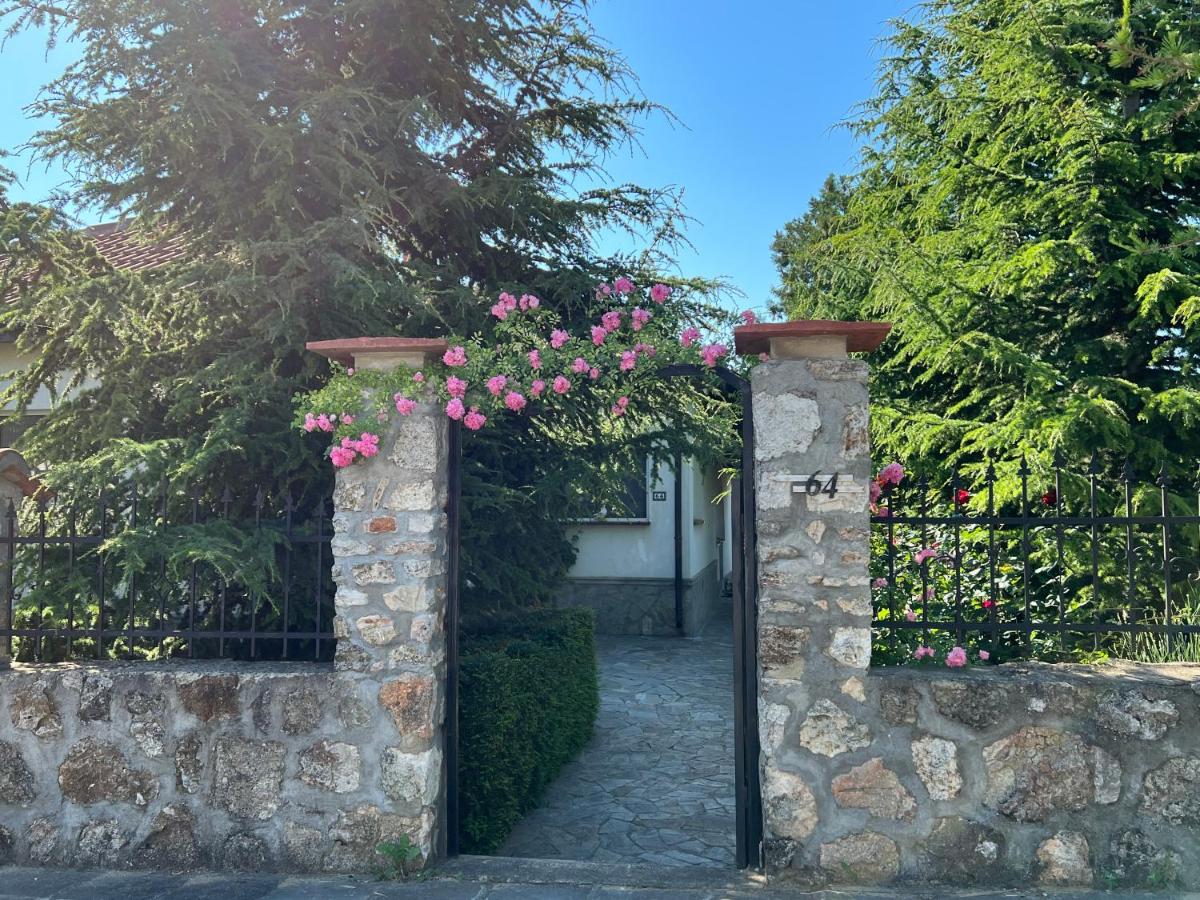 Guest House Shabla - Housity