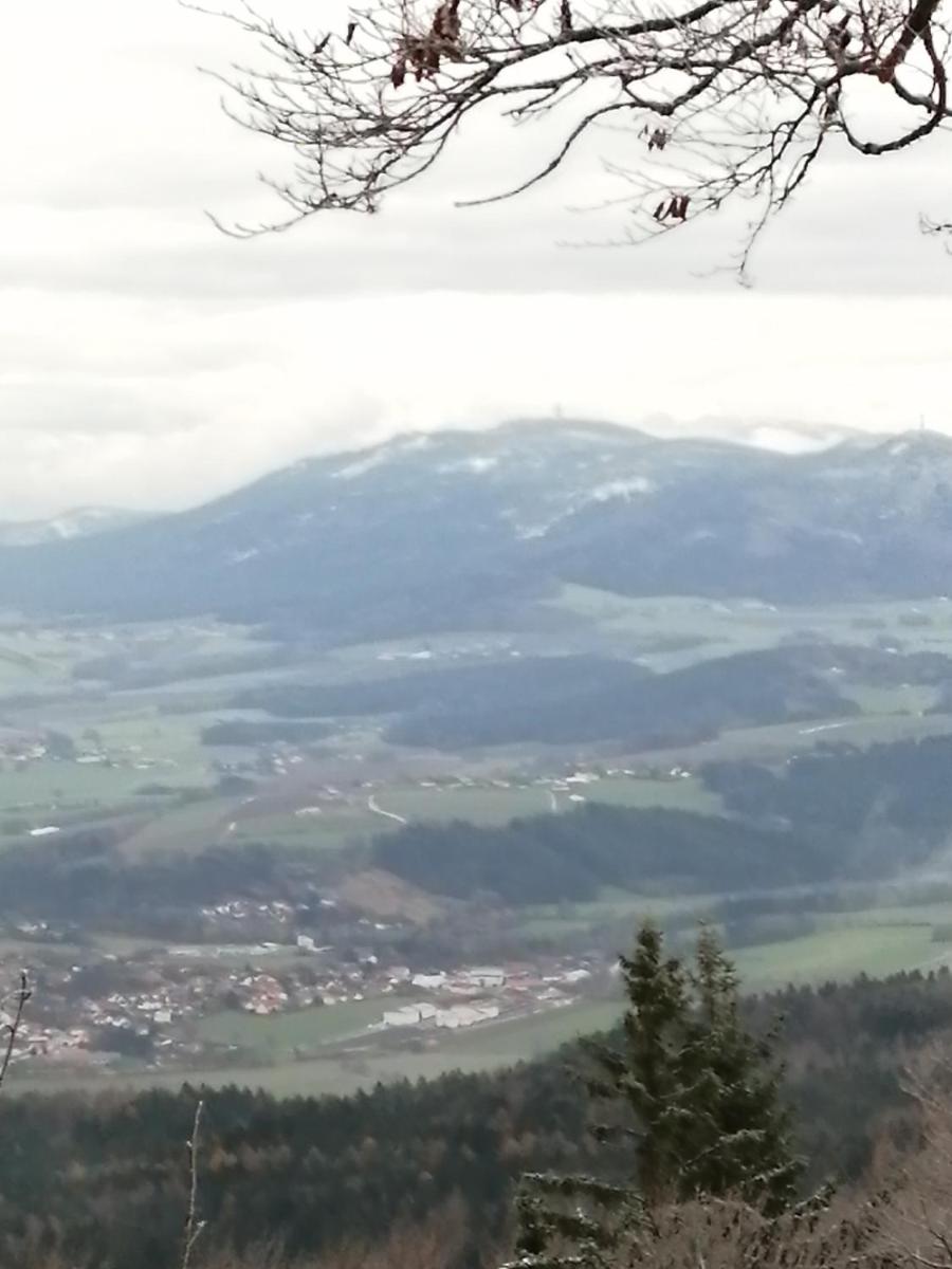 Hotel Lugerhof - Housity