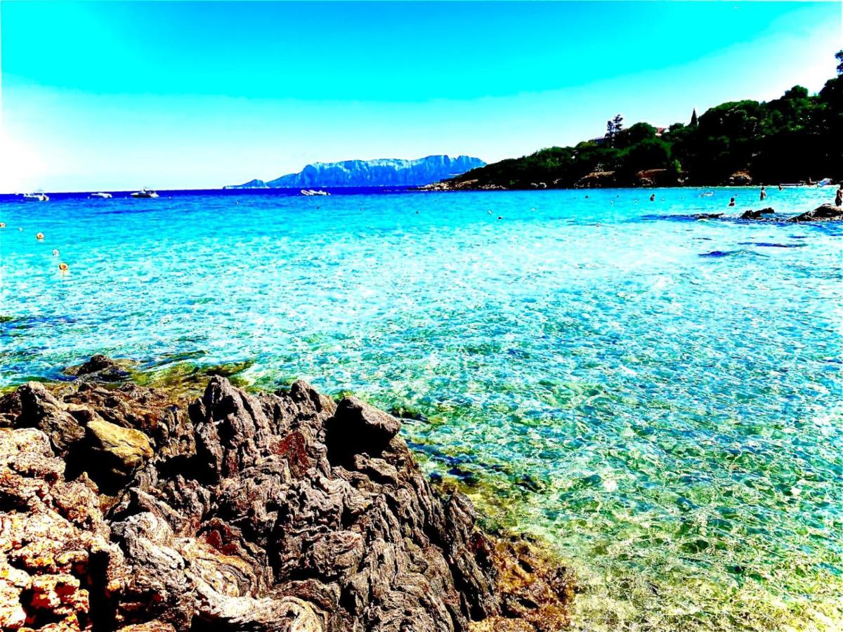 Villaggio Terrata Golfo Aranci - Housity