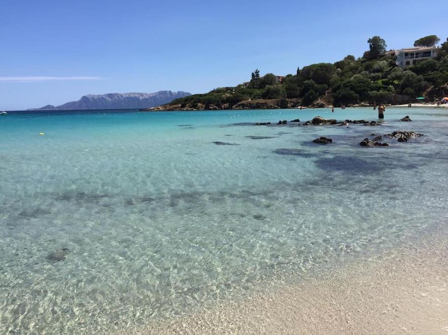 Villaggio Terrata Golfo Aranci - Housity