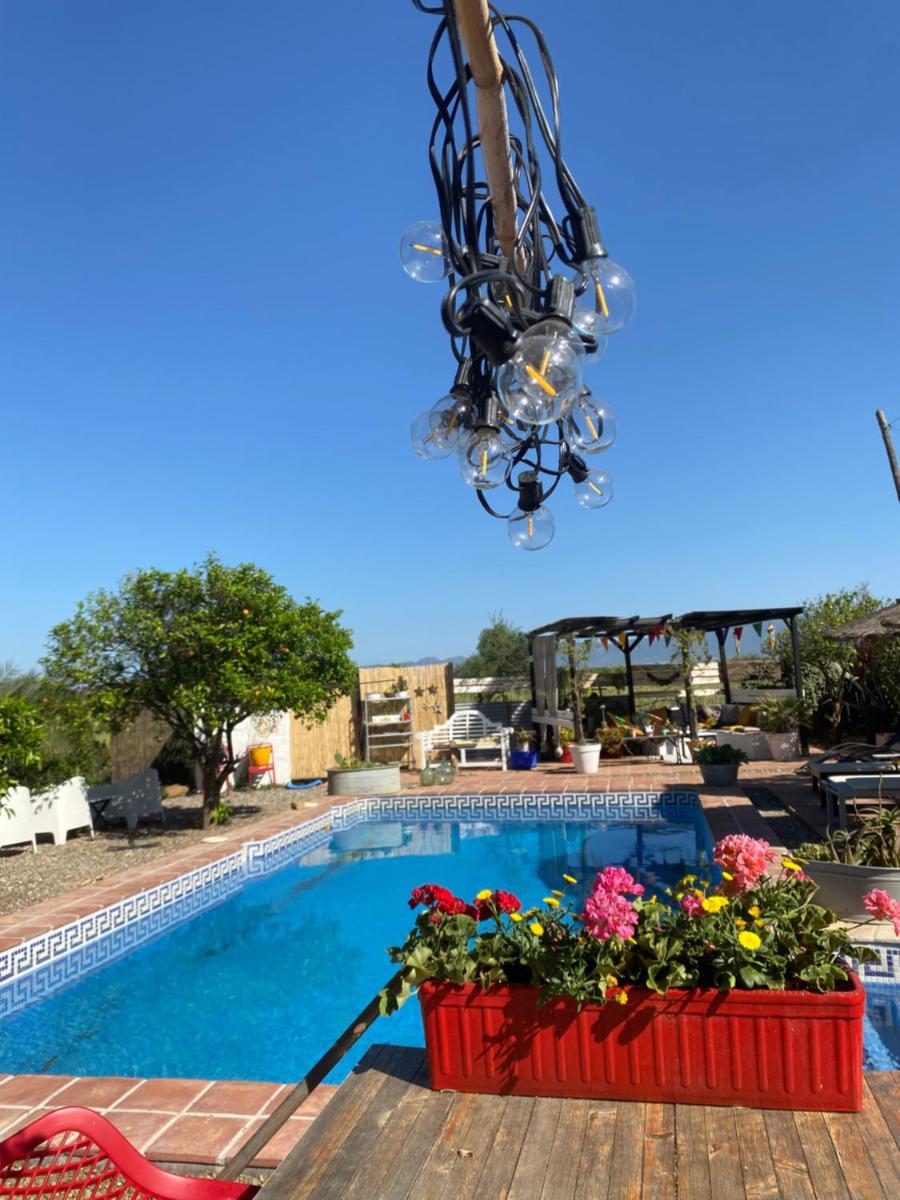 B&B Finca Alegria de la Vida - Housity