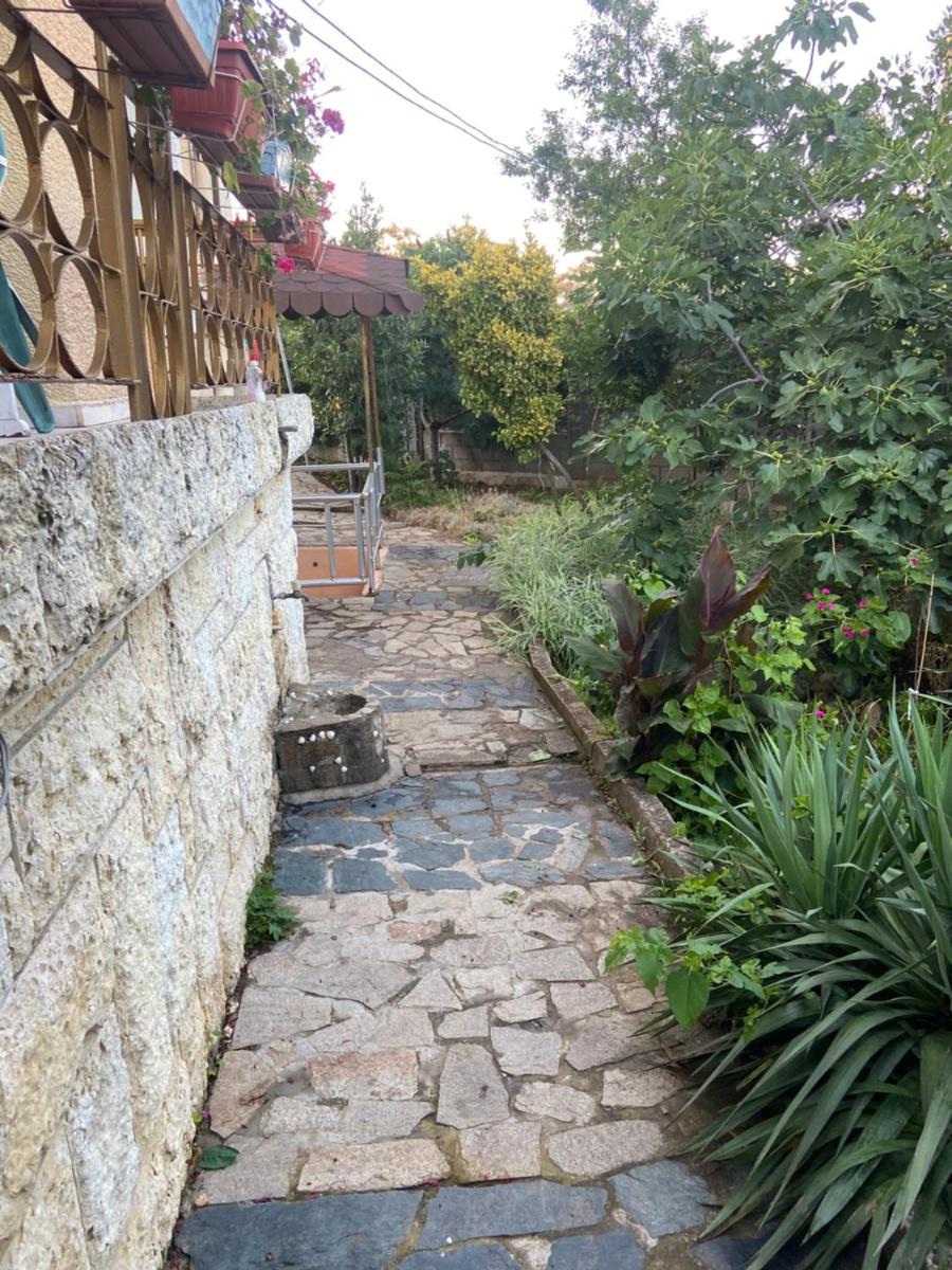 Vila galina - Housity