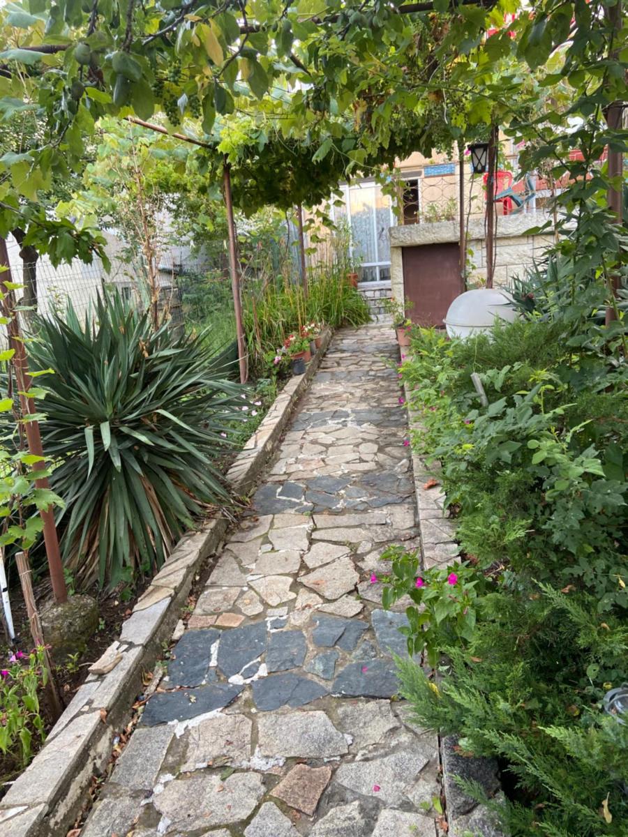 Vila galina - Housity
