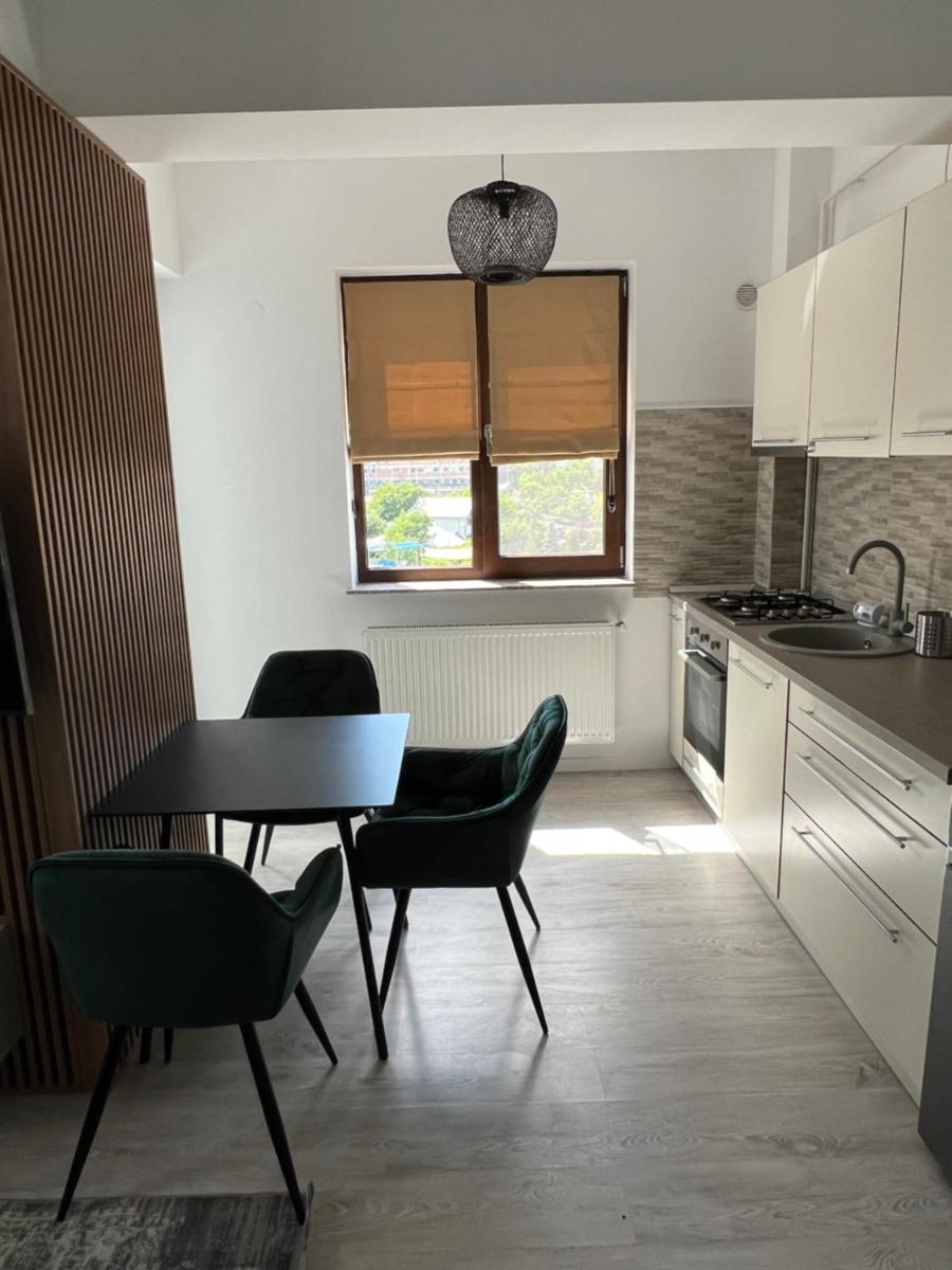 Lovely Apartments in Iasi City Center - Housity