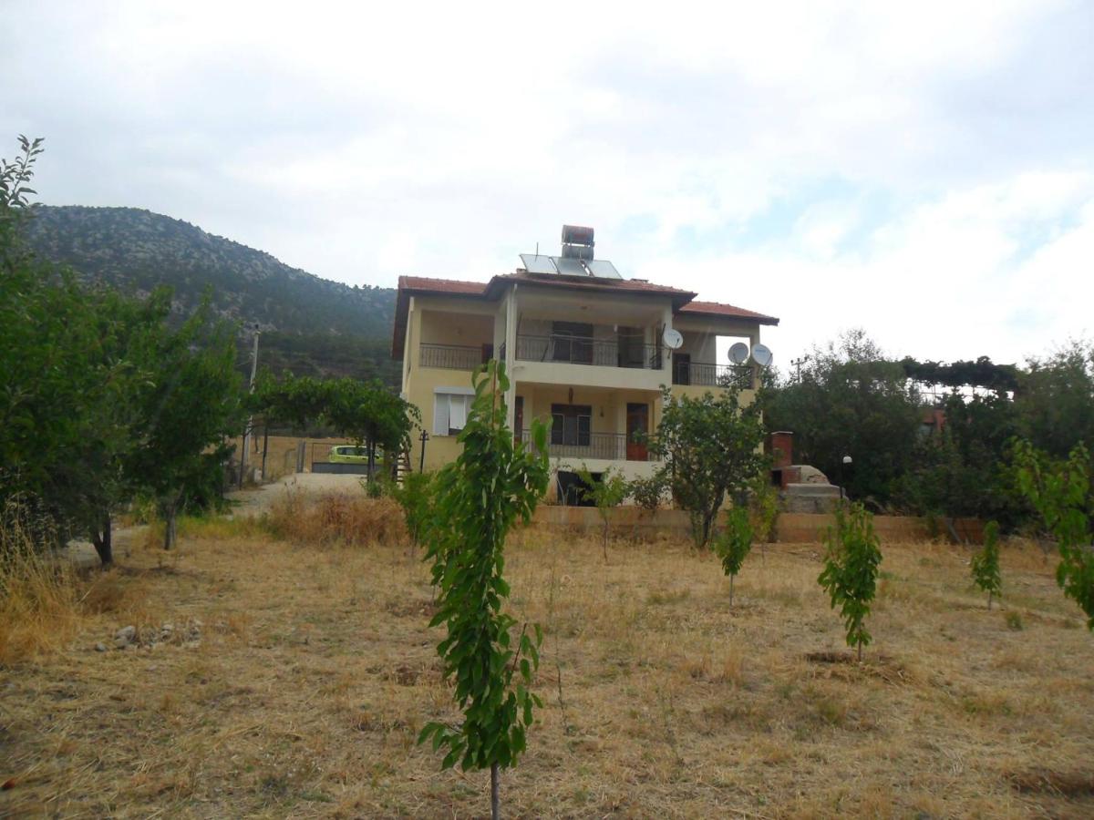 Suitetrails - korucak dağ evleri
