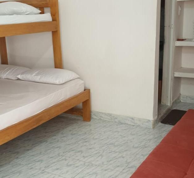 Girasoles Tolu - Housity