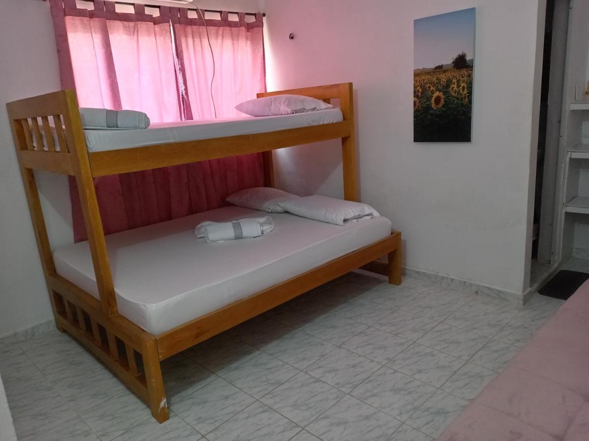 Girasoles Tolu - Housity