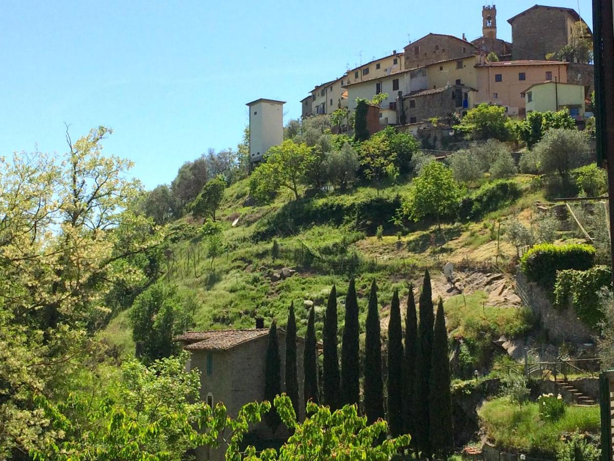 Ex-mulino Pontevecchio (mill on the river) - Housity