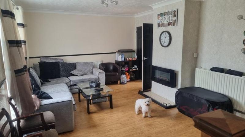 Private room with Bed, TV and cupboard space. - Housity