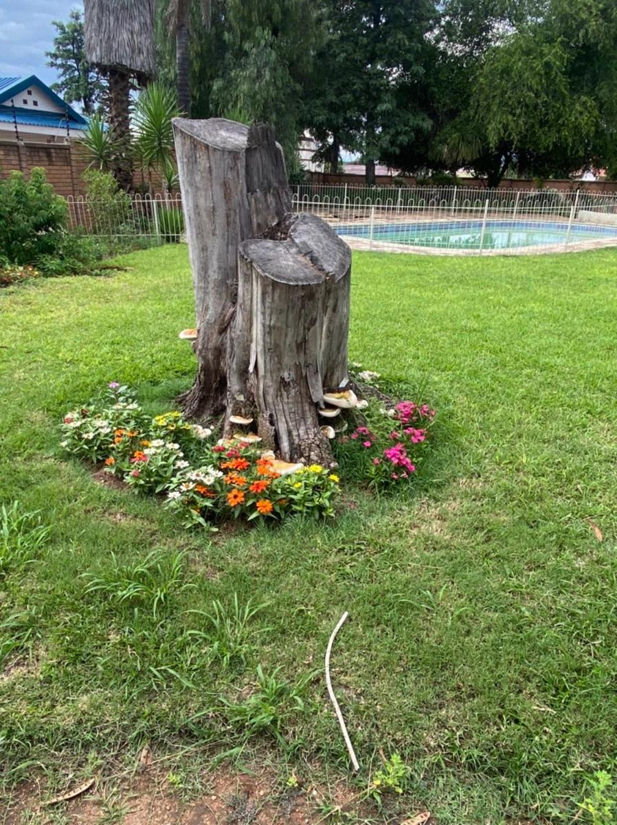 Suitetrails - Vania Inn Guesthouse