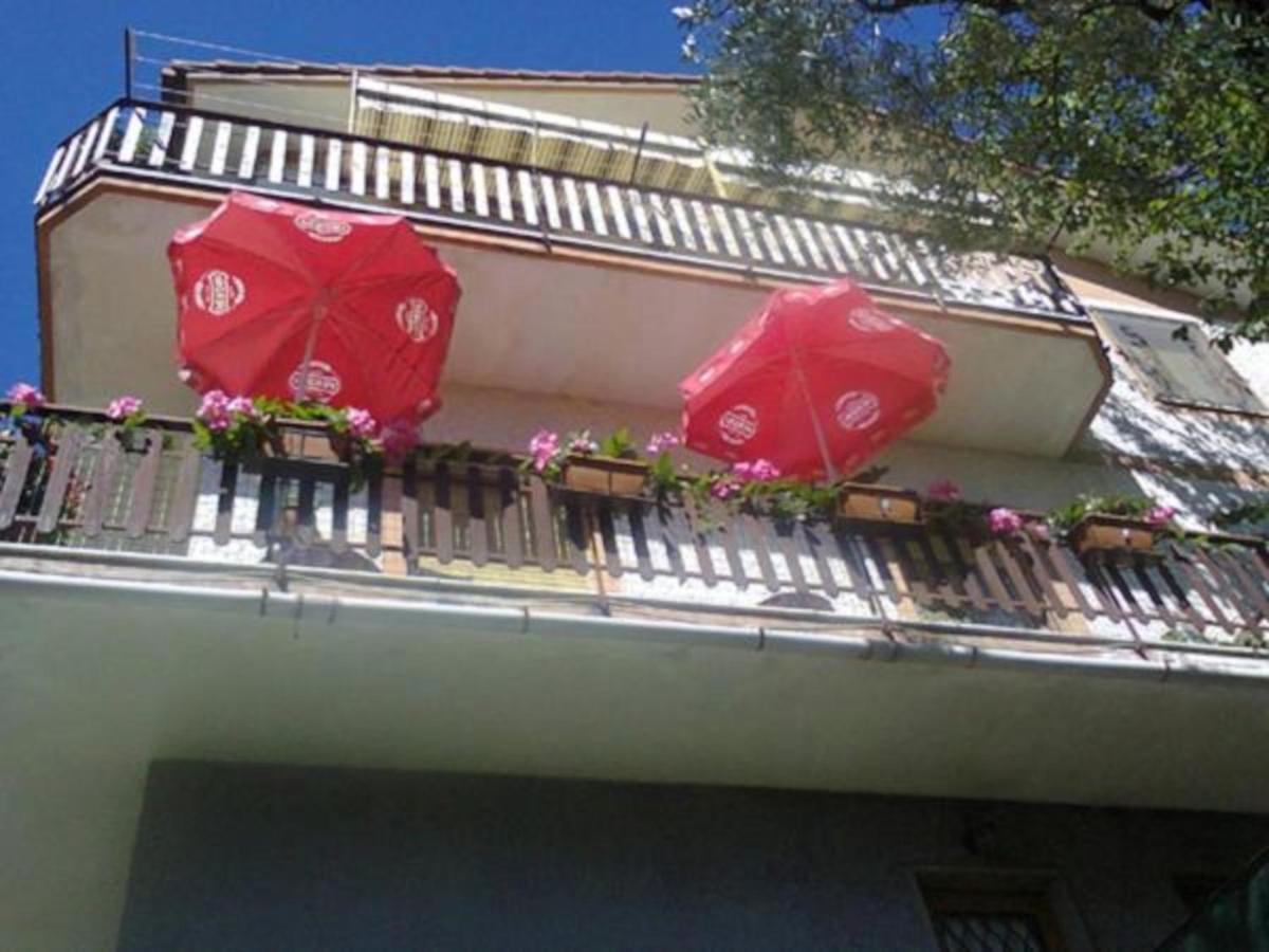 La Margherita di Teriasca - Housity
