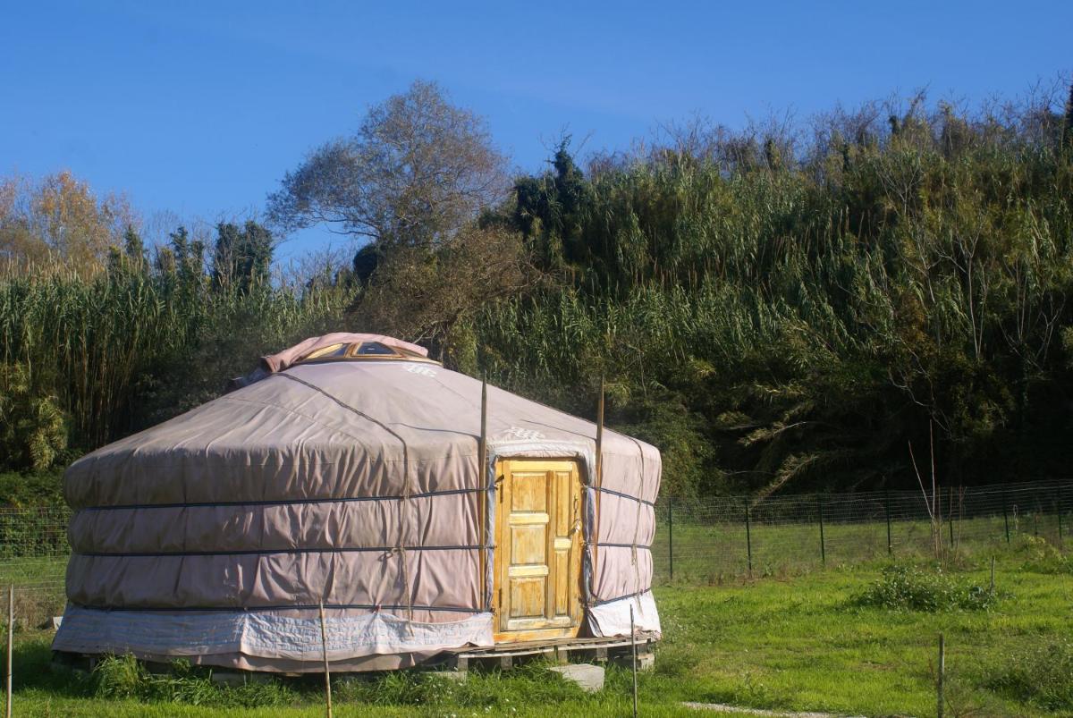 Yurta Flora - Housity
