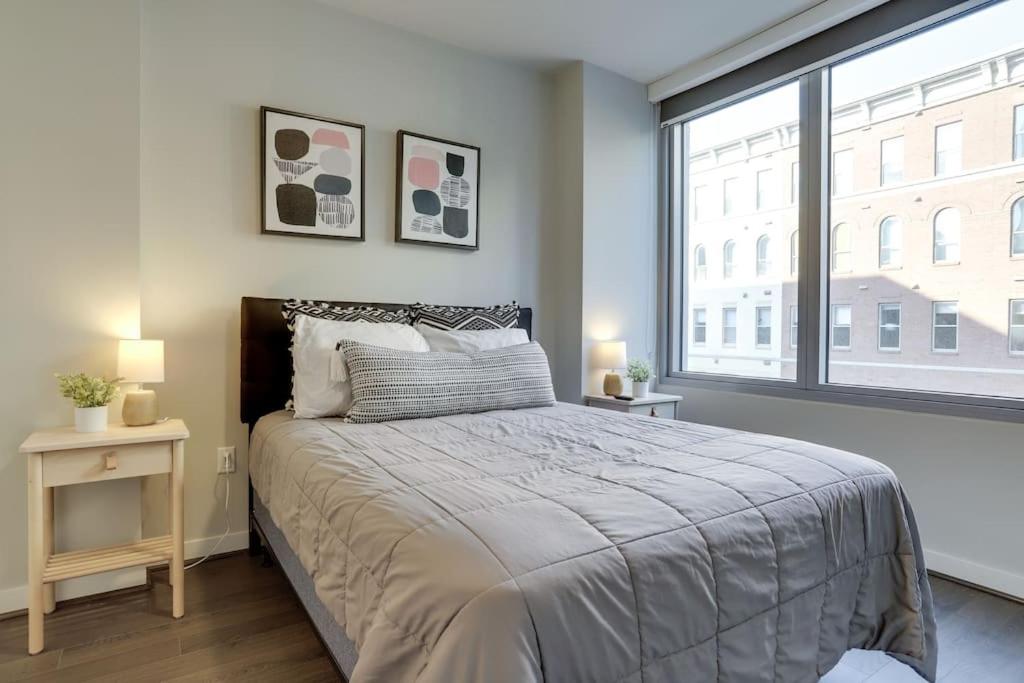 Gorgeous 1 Bedroom At Clarendon With Gym and Rooftop - Housity