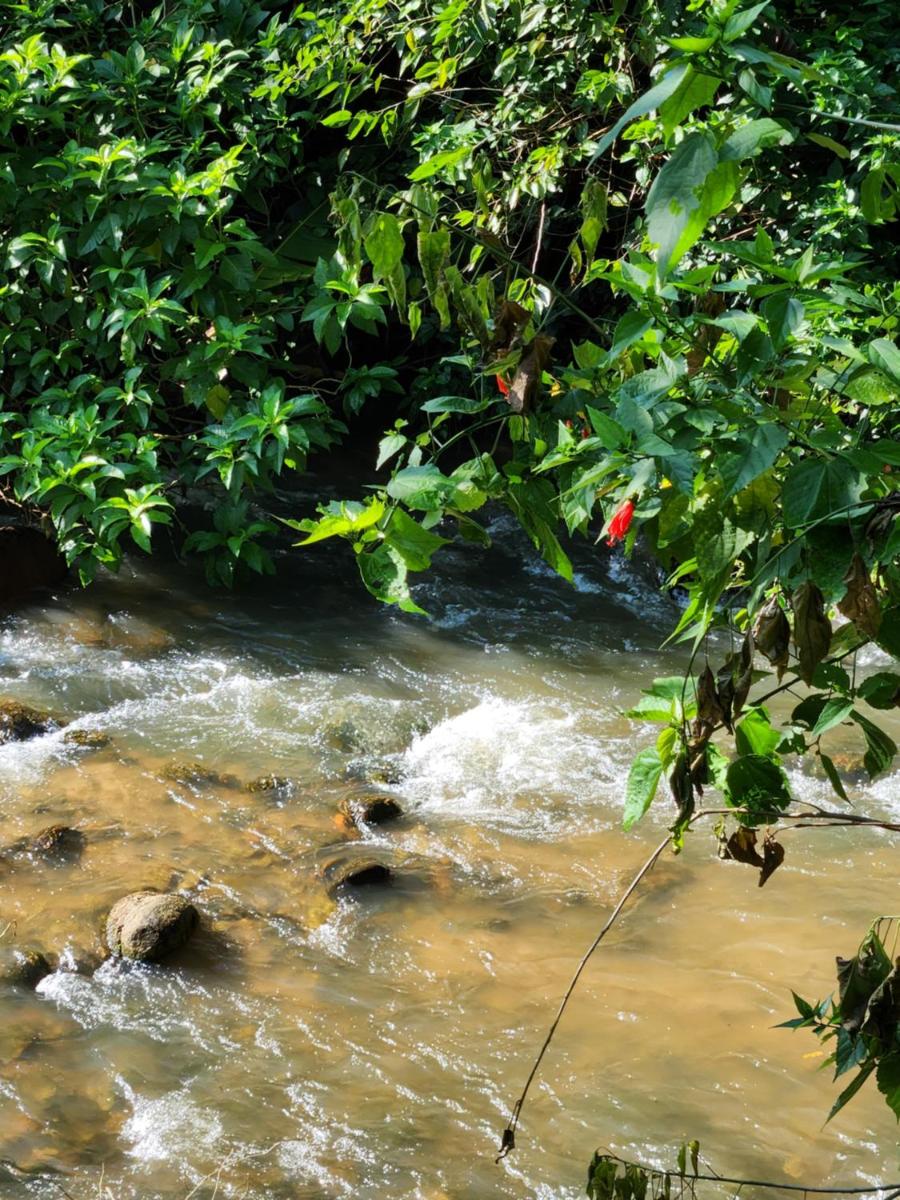 Hospedaria e Camping Quintal do Mundo - Housity