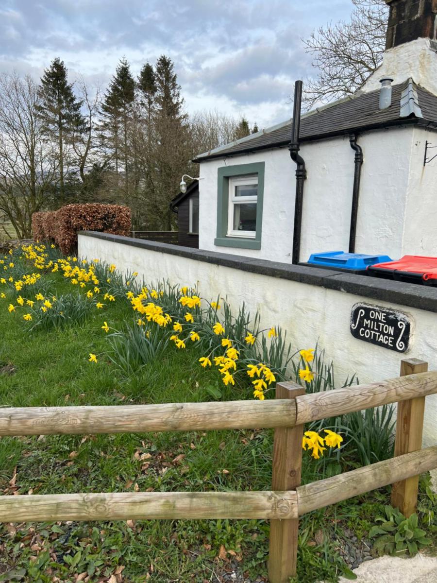Cosy country cottage in rural location - Housity