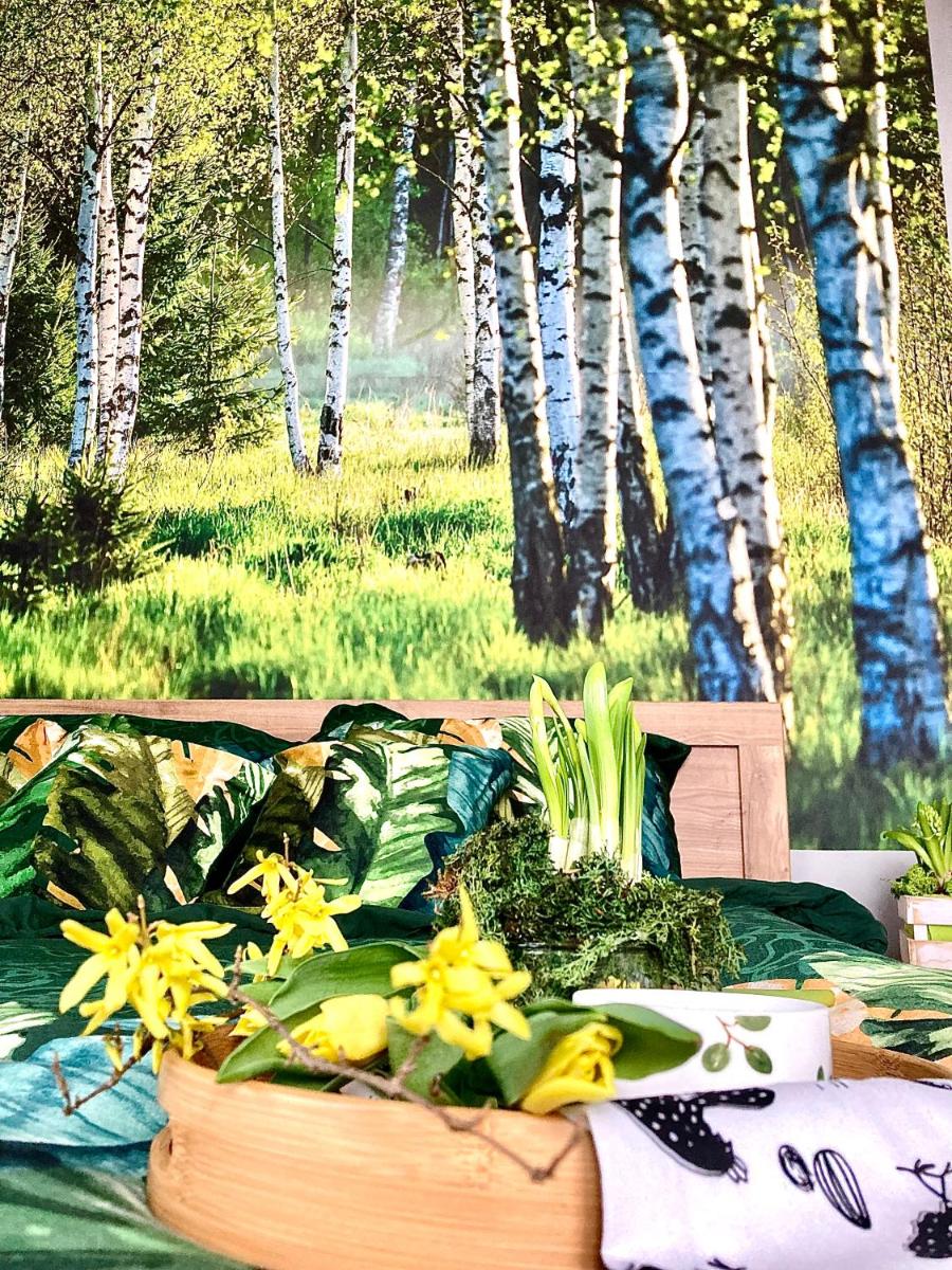 Apartament Deluxe - Housity